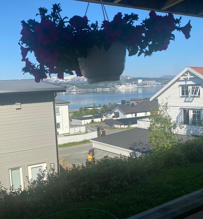 Polar Cozy Apartment - With View And Free Parking 트롬쇠 외부 사진